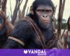 „Planet der Affen – Königreich“ überzeugt die Kritiker und es gibt gute Nachrichten: Es soll ein Erfolg werden