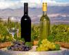 Tucumán-Weine gewinnen auf internationalen Schauplätzen an Bedeutung
