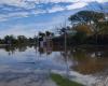 Mehr als 500 Menschen bleiben wegen Überschwemmung in Concordia evakuiert: „Es stehen Unternehmen unter Wasser“