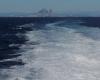 Orcas versenkten ein Segelboot in der Straße von Gibraltar