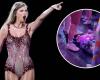 Die La Défense Arena in Paris reagierte auf die Kontroverse, die ein Baby bei Taylor Swifts Konzert auslöste