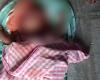 Hund zerfleischt 5 Monate altes Baby im Heim von Telangana zu Tode