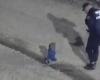 Ungewöhnlich: Die Polizei rettete im Morgengrauen in Córdoba ein allein krabbelndes Baby | Lockeres Baby