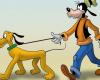 Das ist der wahre Grund, warum Goofy bei Disney redet und Pluto nicht
