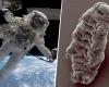 Die NASA hat zwei Astronauten gebeten, die ISS zu verlassen, um zu überprüfen, ob es dort lebende Organismen gibt