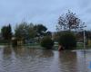 Los Ríos: 3 Gemeinden halten wegen Überschwemmungen und Überschwemmungen aufgrund von Regen die Alarmstufe Gelb aufrecht | National