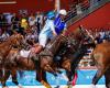 Horseball: der Pferdesport, der Argentinien zu revolutionieren verspricht