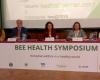 Das Bienengesundheitssymposium analysiert die Auswirkungen des Tierschutzes in Bienenstöcken