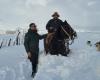 Der Schneesturm aus den äußersten nördlichen Gebieten von Neuquén: „Eine enorme Anstrengung“