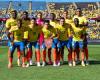 Möglicher Starter für die Nationalmannschaft Kolumbien vs. Paraguay in der Copa América: Mina, Neuheit | Kolumbien-Auswahl