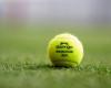 Wimbledon hat seine Qualifikation ausgelost: Wie viele Südamerikaner spielen und welche Flanken fallen auf?