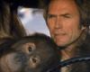 „Alle haben mich angefleht, diesen Film nicht zu machen“: Clint Eastwood ignorierte alle und erzielte den besten Erfolg seiner Karriere – Movie News