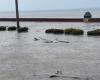 Neue Überschwemmungen in Kuba, jetzt in der Stadt Manzanillo