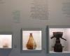 Von Vipern, Aderlass, Destillierapparaten und Kräutern: die Medizin des Goldenen Zeitalters durch Lope de Vega | Kultur