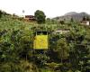 Die neoliberale Agenda 2040 der GEA in Antioquia, die Gebiete verkauft und verwüstet