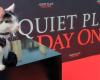 Frodo, die Katze, die Lupita Nyong’o in „A Quiet Place: Day One“ das Rampenlicht gestohlen hat