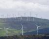China Three Gorges, Masdar, Engie und Total kämpfen mit Angeboten von 1,7 Milliarden um Saeta Yield, die ehemalige Tochtergesellschaft von ACS im Bereich erneuerbare Energien Firmen